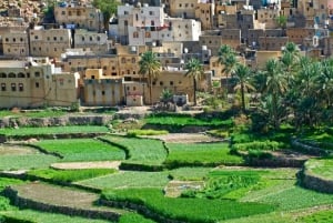 Oman: Wycieczka 1-dniowa z Muscat do Bilad Sayt 4WD