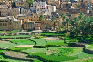 Оман: однодневная поездка из Маската в Билад-Сайт на полноприводном автомобиле