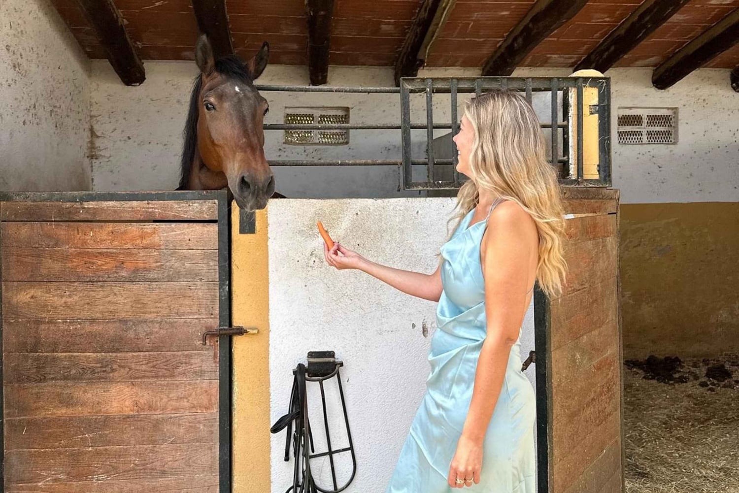 Oman-Salalah: Ausritt am Strand bei Sonnenuntergang mit Abholung vom Hotel