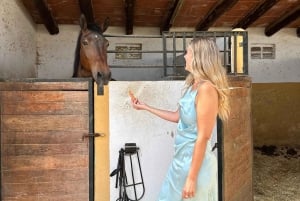 Oman-Salalah: Przejażdżka konna po plaży o zachodzie słońca z odbiorem z hotelu