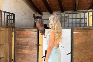 Oman-Salalah: Przejażdżka konna po plaży o zachodzie słońca z odbiorem z hotelu