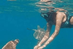 Oman: snorkelen bij de Daymaniyat-eilanden