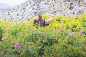 Oman Soul Trip: Nizwa, Bahla, Al Hamra & Jebel Akhdar