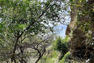 Oman Soul Trip: Nizwa, Bahla, Al Hamra & Jebel Akhdar