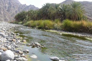 Oman: 4WD-tur till Wadi Abyadh och byn Wekan