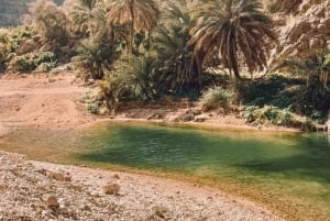 Oman: Wadi Shab -vesivaellus veneajelulla ja uinnilla