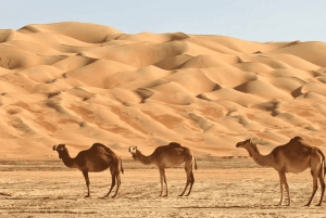 Оман: частная поездка в Вахибу и Вади Бани Халед