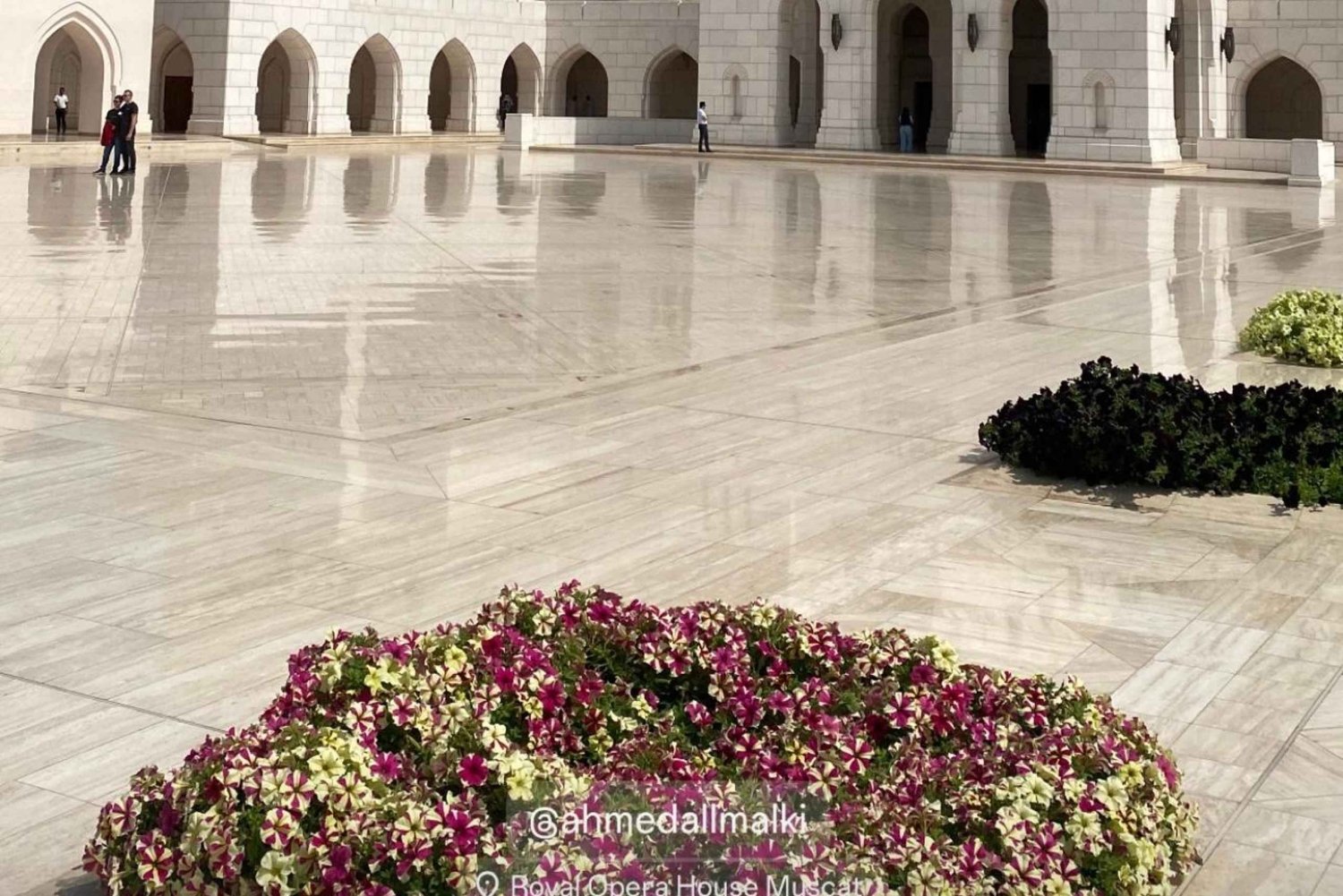 Oman: Wahiba Sands, Wadi Bani Khalid, and Desert Tour