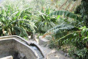 Omans Grand Canyon: Heldagstur fra Muscat