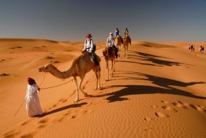 Overnight Desert Adventure Oman