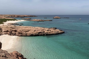 Overnight Trip at Daymaniyat Islands