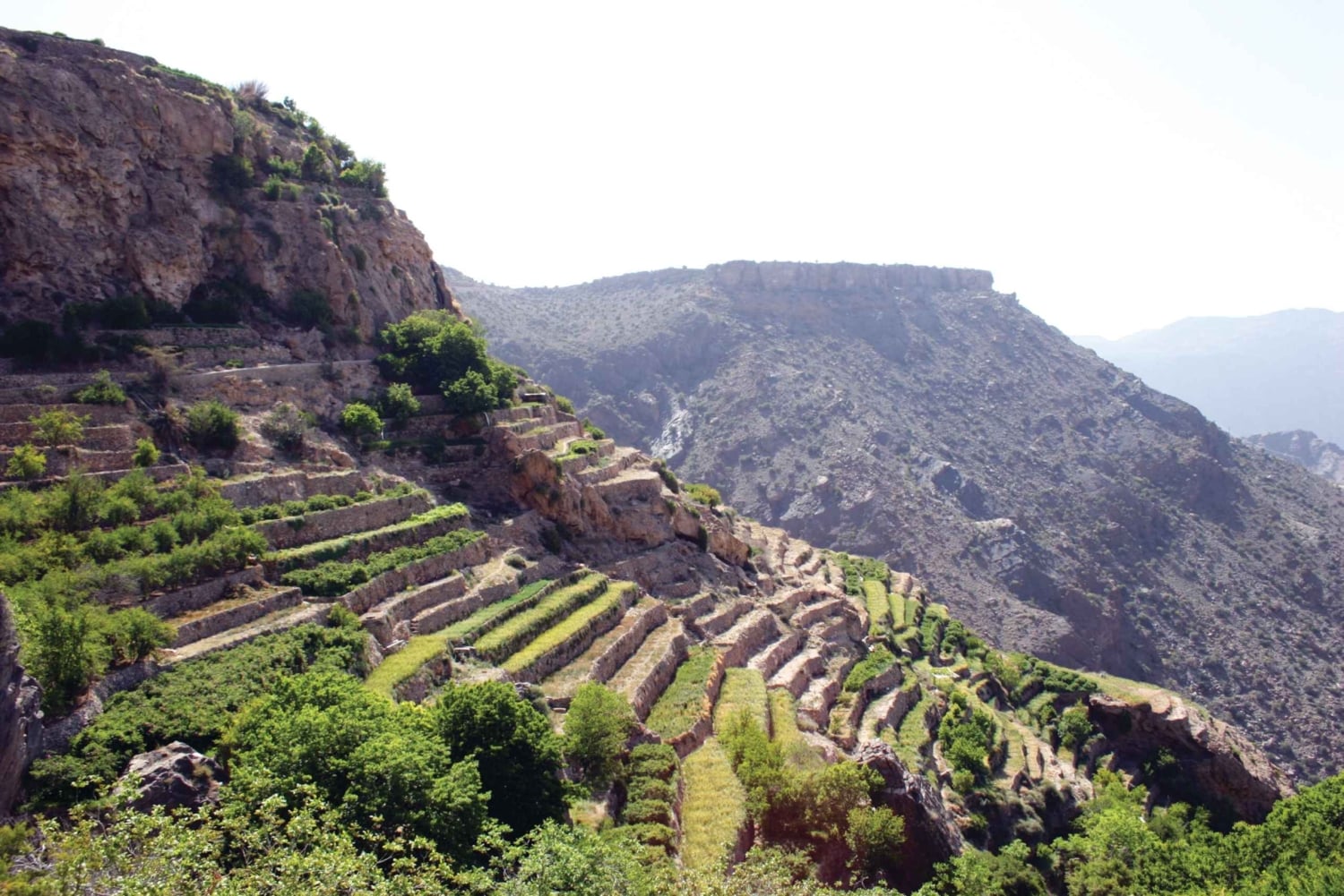 Privat dagstur til Nizwa, Jabel Akhdar