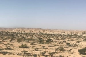 Prywatna 1-dniowa wycieczka z Salalah do Rub Al Khali