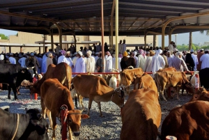 Excursion privée d'une journée à Nizwa, Jabal Akhdar, Birkat Al Moz