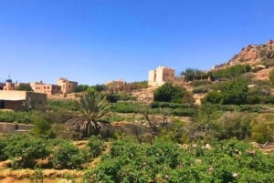 Excursion privée d'une journée à Nizwa, Jabal Akhdar, Birkat Al Moz