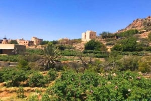 ニズワ、ジャバル・アクダル、ビルカット・アル・モズへのプライベート日帰り旅行