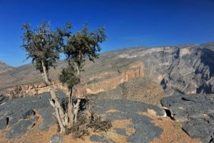Excursion privée d'une journée à Nizwa et Jabal Shams (Grand Canyon)