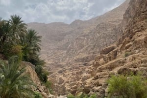 Excursión de un día privada a Wadi Shab, Playa de las Aletas y Sumidero de Bimmah