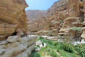 From Muscat: Guided Overnight Desert Camp Tour