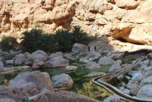 From Muscat: Guided Overnight Desert Camp Tour