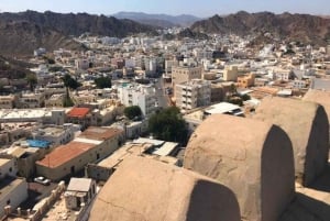 Private Full-Day Muscat City Tour, Wonderful Muscat