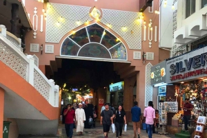 Yksityinen kokopäivän Muscat City Tour, Ihana Muscat