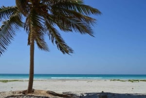 صلالة شرقية خاصة ليوم كامل