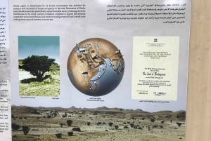 صلالة شرقية خاصة ليوم كامل