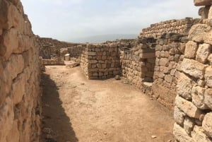 صلالة شرقية خاصة ليوم كامل