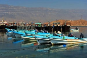 صلالة شرقية خاصة ليوم كامل