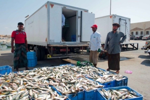 صلالة شرقية خاصة ليوم كامل