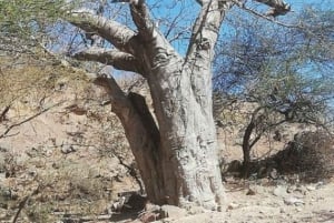 صلالة شرقية خاصة ليوم كامل