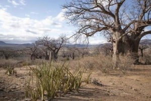 صلالة شرقية خاصة ليوم كامل