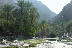 Visite privée d'une jounée : Nakhal-Rustaq-Un voyage historique
