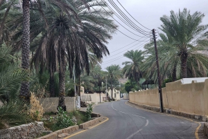 Excursão particular de 1 dia a Nakhal, Rustaq e fontes termais