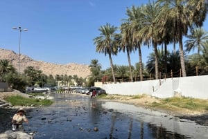 Excursão particular de 1 dia a Nakhal, Rustaq e fontes termais