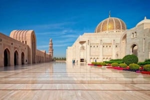 Privé Tour van een halve dag door de stad Muscat