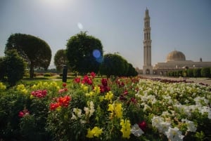 Oman: Privat stadsvandring i Muscat med upphämtning och avlämning