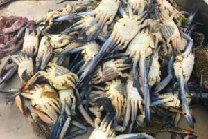 Visite d'une demi-journée privée de la ville de Mascate