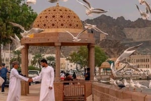 Visite d'une demi-journée privée de la ville de Mascate