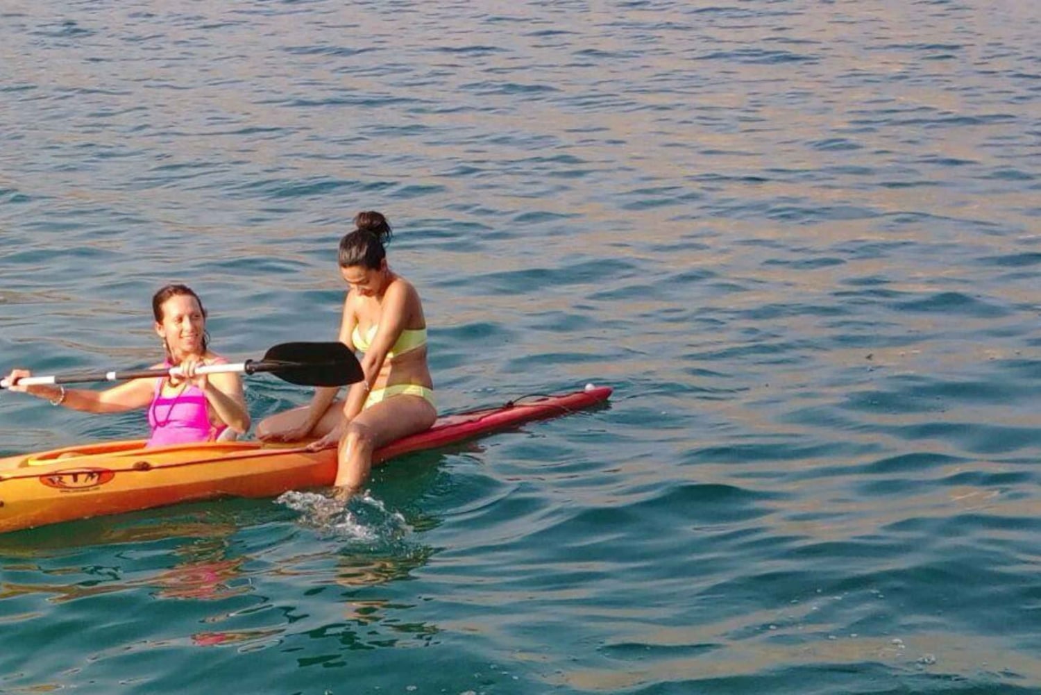 ハサブ・フィヨルドでイルカとカヤックを楽しむダウ船クルーズ（プライベート）