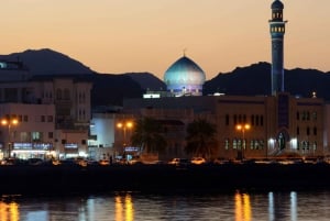 Privat stadsrundtur i Muscat: Utforska Muscat på en halv dag