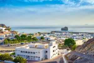 Privat byrundtur i Muscat: Udforsk Muscat på en halv dag