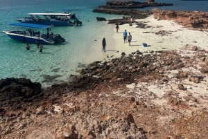 Tour privado de snorkel - Islas Ad Dimaniyat