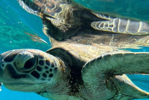 Tour privado de snorkel - Islas Ad Dimaniyat