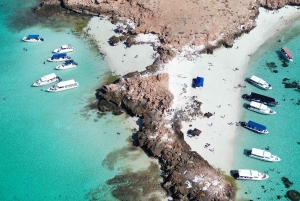 Tour privado de snorkel - Islas Ad Dimaniyat