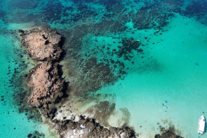 Tour privado de snorkel - Islas Ad Dimaniyat