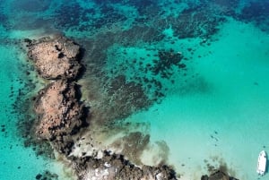 جولة غطس خاصة - جزر الديمانيات