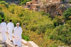 Private Tour: Nizwa und der Grüne Berg – wo Geschichte auf Natur trifft