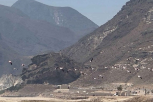 Private Tour Salalah City & West of Salalah